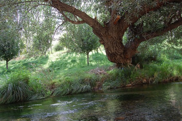 Dreye kasemlo, Iran - panoramio.jpg Nexede