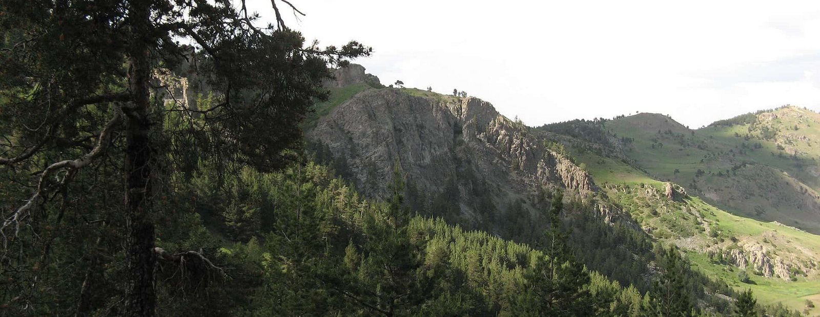 Oltu sülün kaya -köroğlu ormanları - panoramio.jpg Oltî