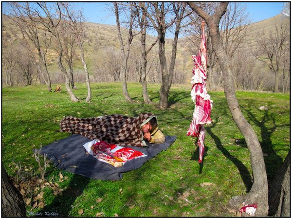 Stalk for meat, Gavar kuh, Govar kuh, Lorestan درکمین کباب رو ارتفاعات گوهرکوه، گوار کوه، گَوَرکوه - panoramio.jpg Kûhdeşt