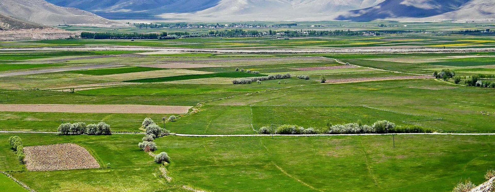 Cavuştepe 25 05 2010 Gürpınar Ovası.jpg Payzava