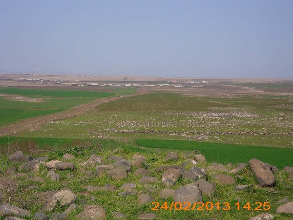 63700 Altınbaşak-Viranşehir-Şanlıurfa, Turkey - panoramio (1).jpg Wêranşar