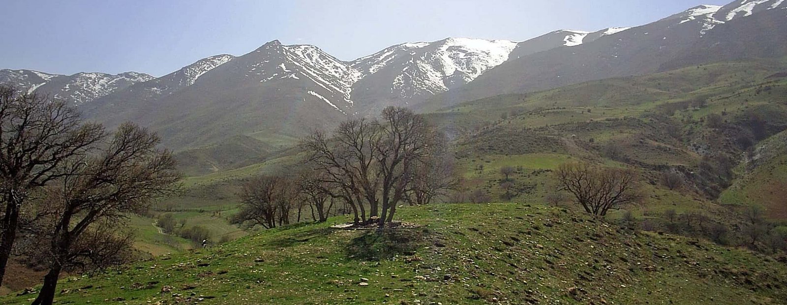 پوشش گیاهی نهاوند.jpg Nihawend