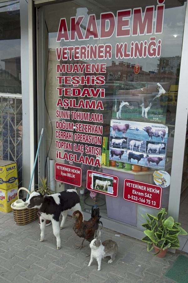 Muş in 2012 3551.jpg Mûş
