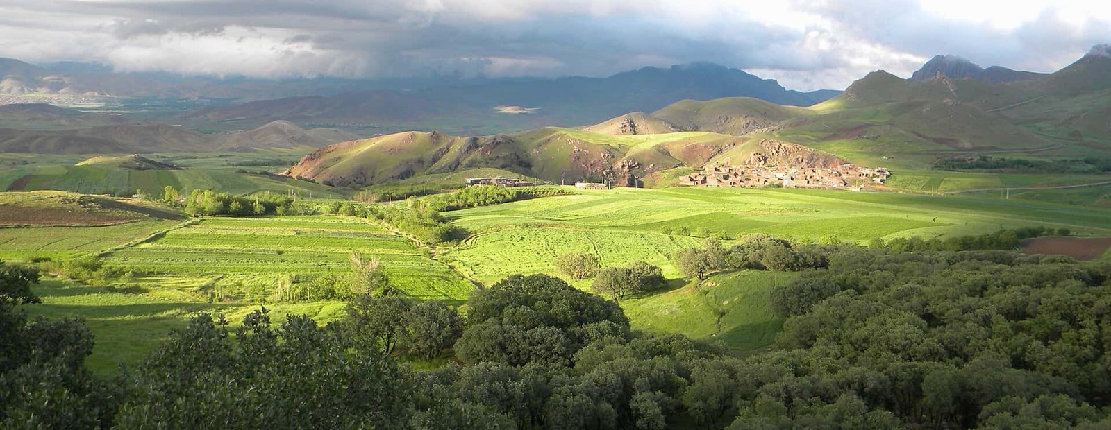 بلوطا -منطقه ای در نزدیکی هرسین کرمانشاه - panoramio.jpg Hersîn