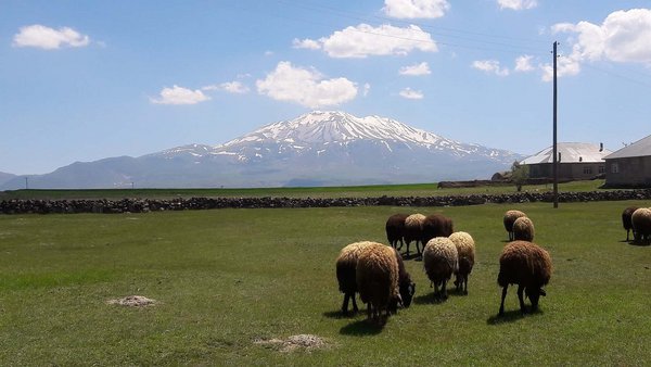 Süphan Dağı.jpg Panos
