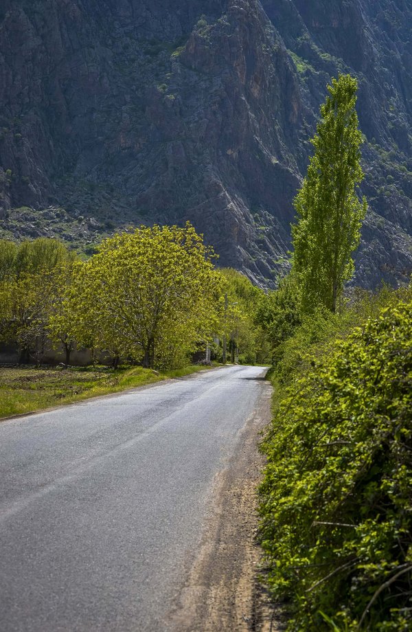 طبیعت نجوبران (نژی وران) بیستون soheilchehri.jpg Hersîn