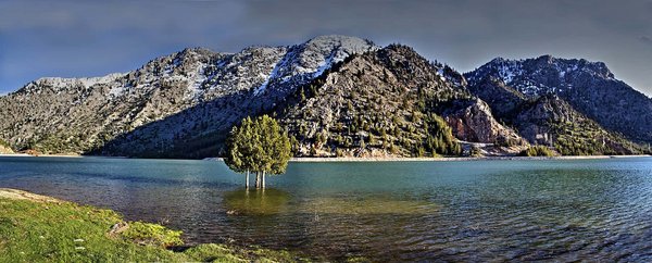 Trees of The Dam - panoramio.jpg Goksun