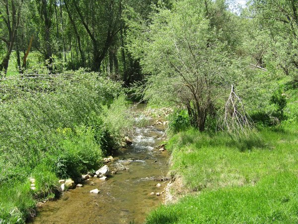 Kaldırak Çayı - Yahyalı köyü.jpg Sarciye