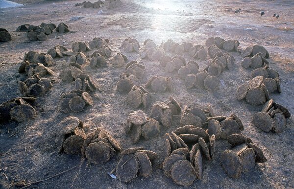 Urfa 1997 Desert tour Harran 199.jpg Herran