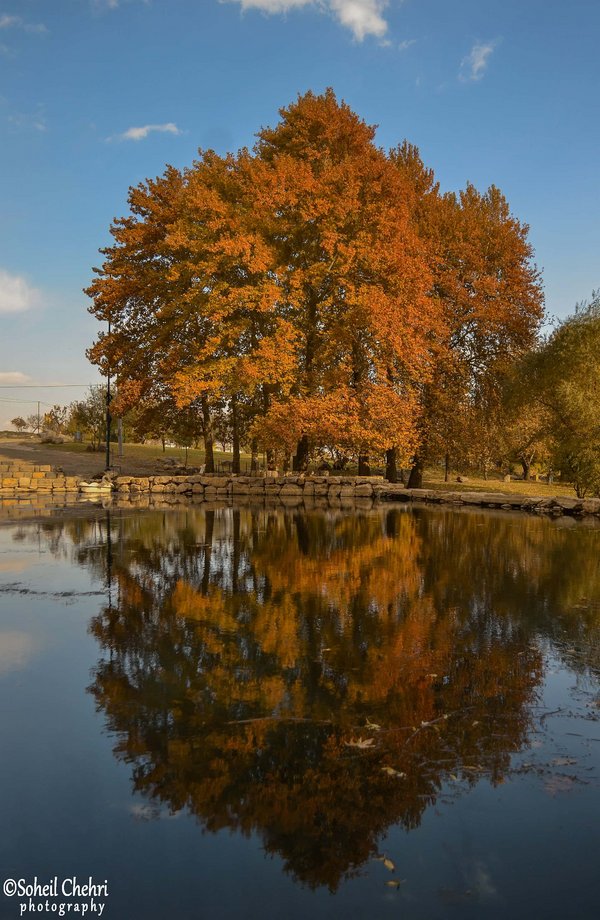 سراب بیستون soheilchehri.jpg Hersîn