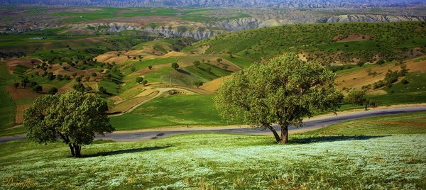 Salas Babajani Landscape - panoramio.jpg Selasê Bawecanî