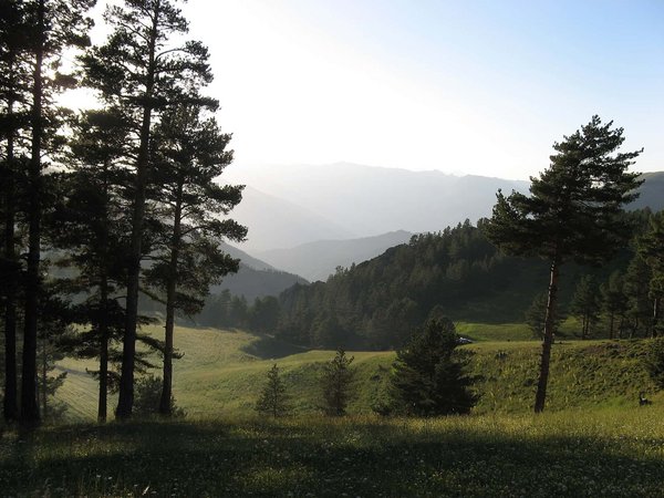 SAPACA GEZUK - panoramio.jpg Tortim