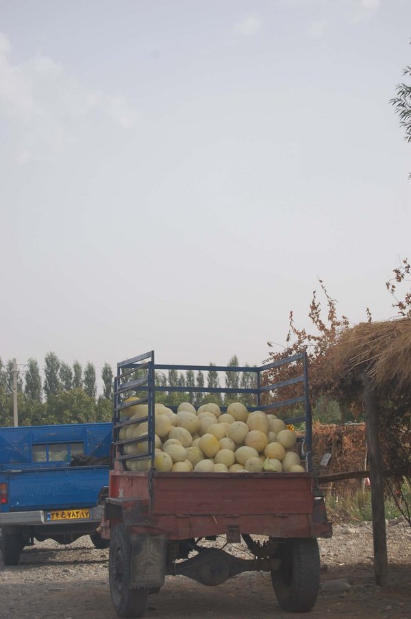 Iran - panoramio - ✿ Vlinder ✿.jpg Nexede