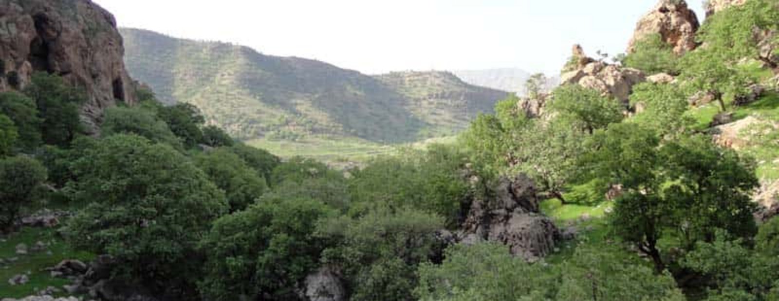 Poshte-lart.JPG Badreh