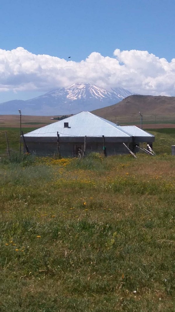 Ağrı Süphan Dağı.jpg Panos