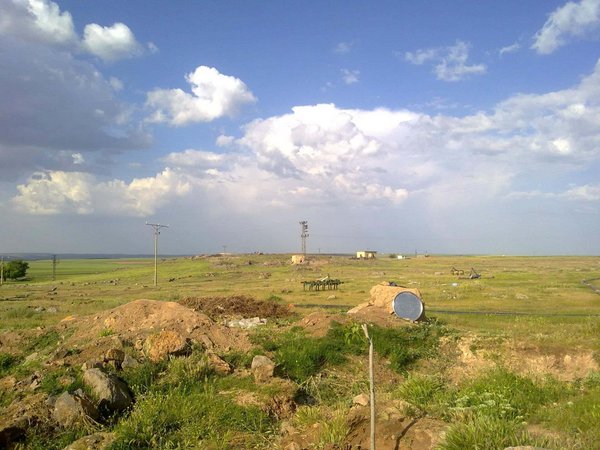 Qerqatkê.jpg Çinar