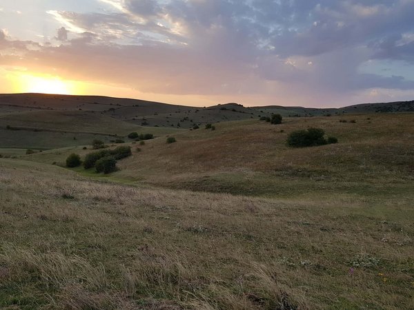 Shoghaldare in namin.jpg Konanî
