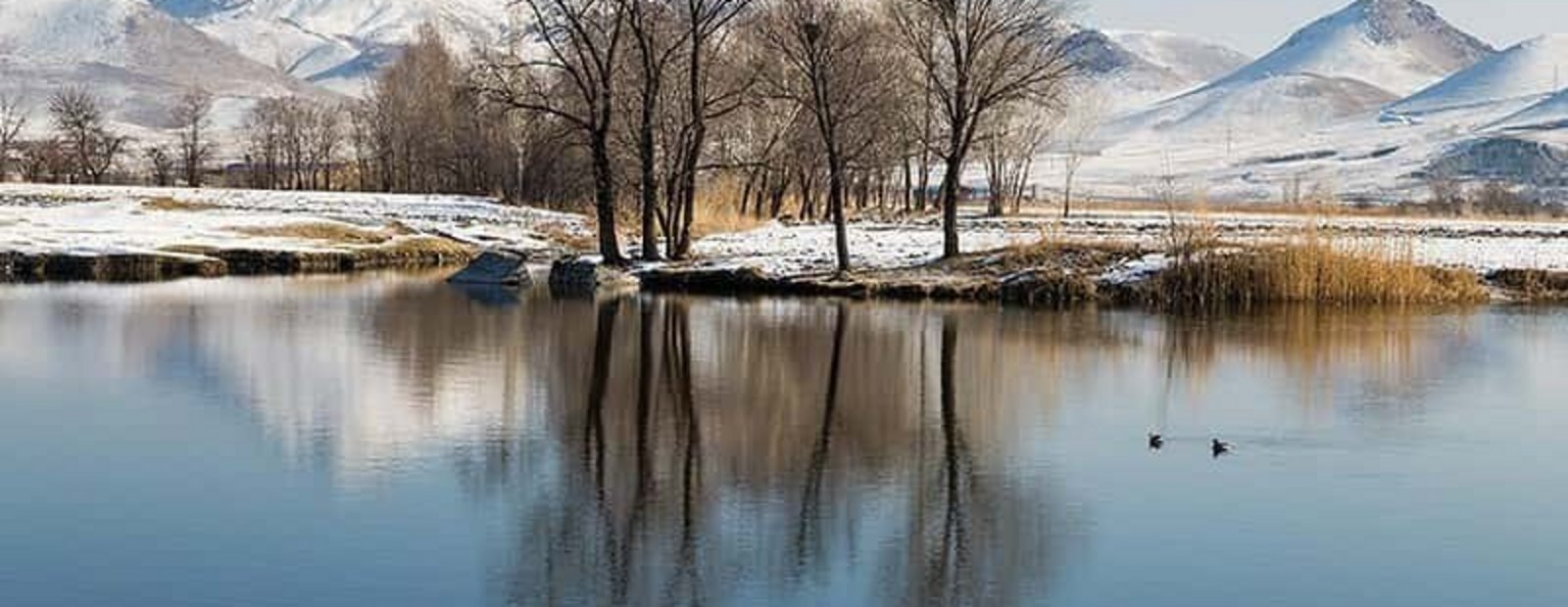 Hassanlou Wetland 2017-02-01 01.jpg Nexede
