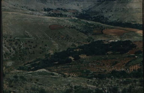 Kaniya Alî.JPG Şemrex