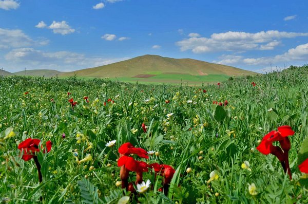 (((مناظر زیبای اطراف جلدیان ))) - panoramio (1).jpg Pîranşar