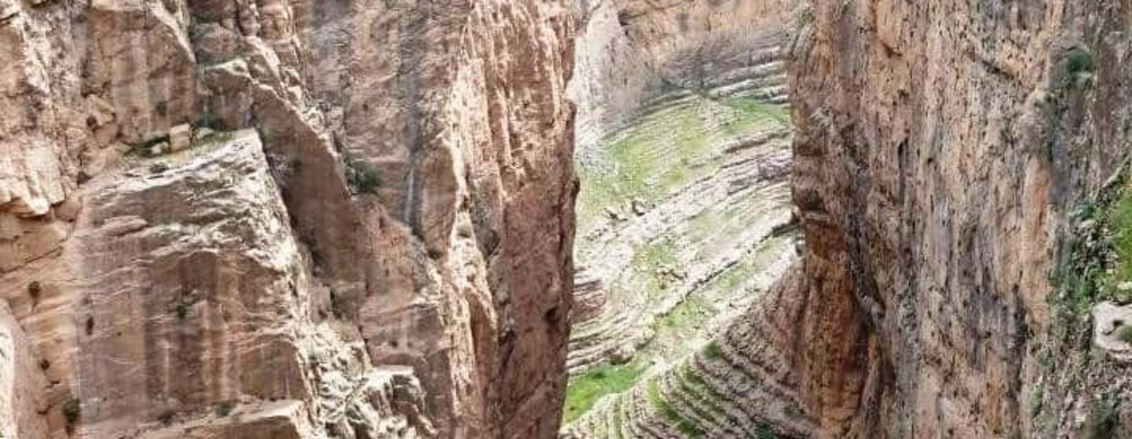 VizhDarvan01.jpg Melkişayî