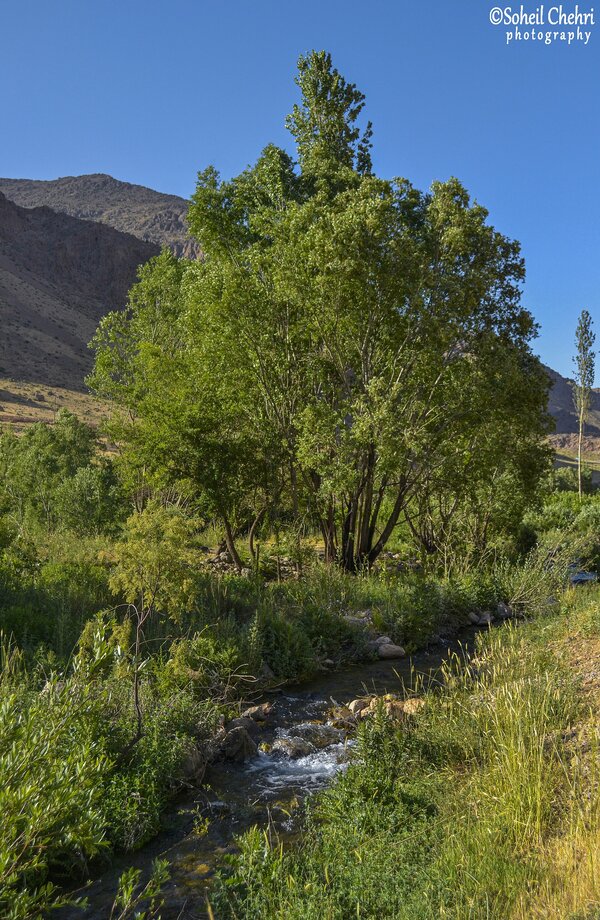 سراب سیری جان (کنگرشاه) صحنه soheilchehri.jpg Sehne