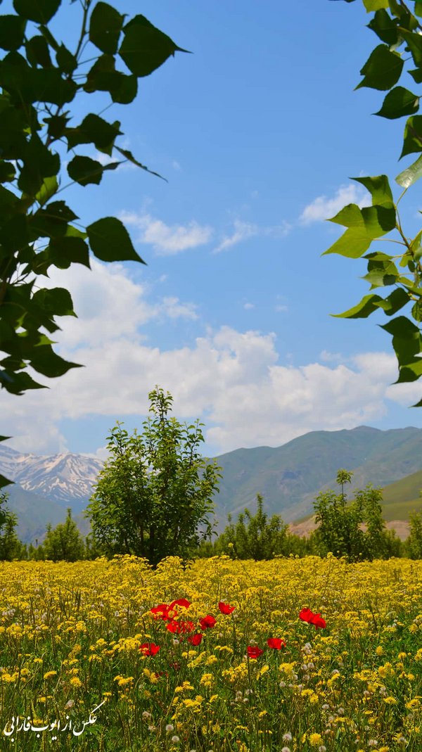 (((اطراف پیرانشهر ))) - panoramio.jpg Pîranşar