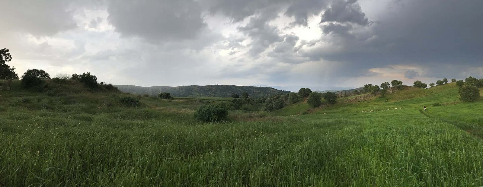 Green vegetation around 7 miles SE of Zakho, Iraq.jpg Zaxo