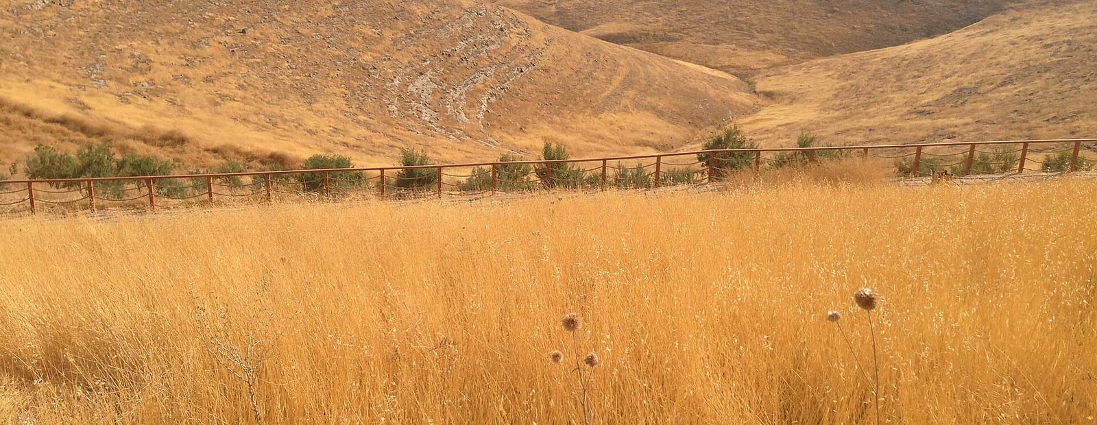 Haliliye Göbeklitepeden Urfa Vadisi Bakış 2015.JPG Xelîl