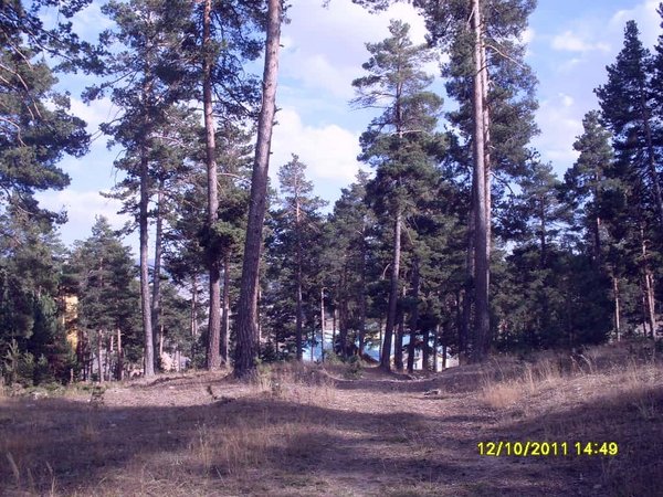 SARIKAMIŞ KAYAK MERKEZİ - panoramio.jpg Qamûşan