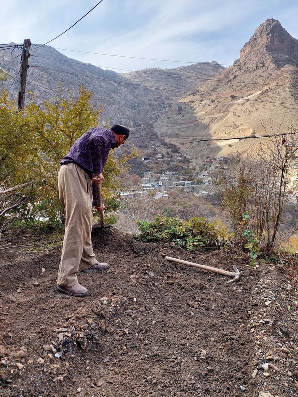مردی درحال کشاورزی.jpg Sewlawa