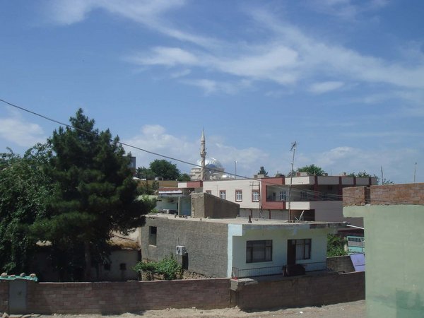 Çinar 2 2012.JPG Çinar