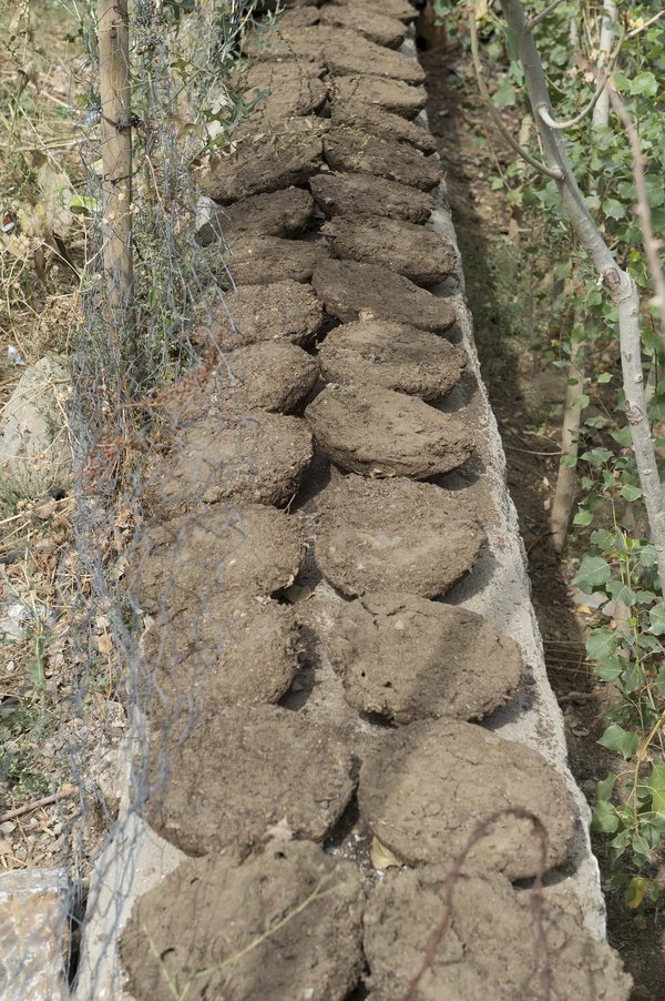 Muş in 2012 3625.jpg Mûş