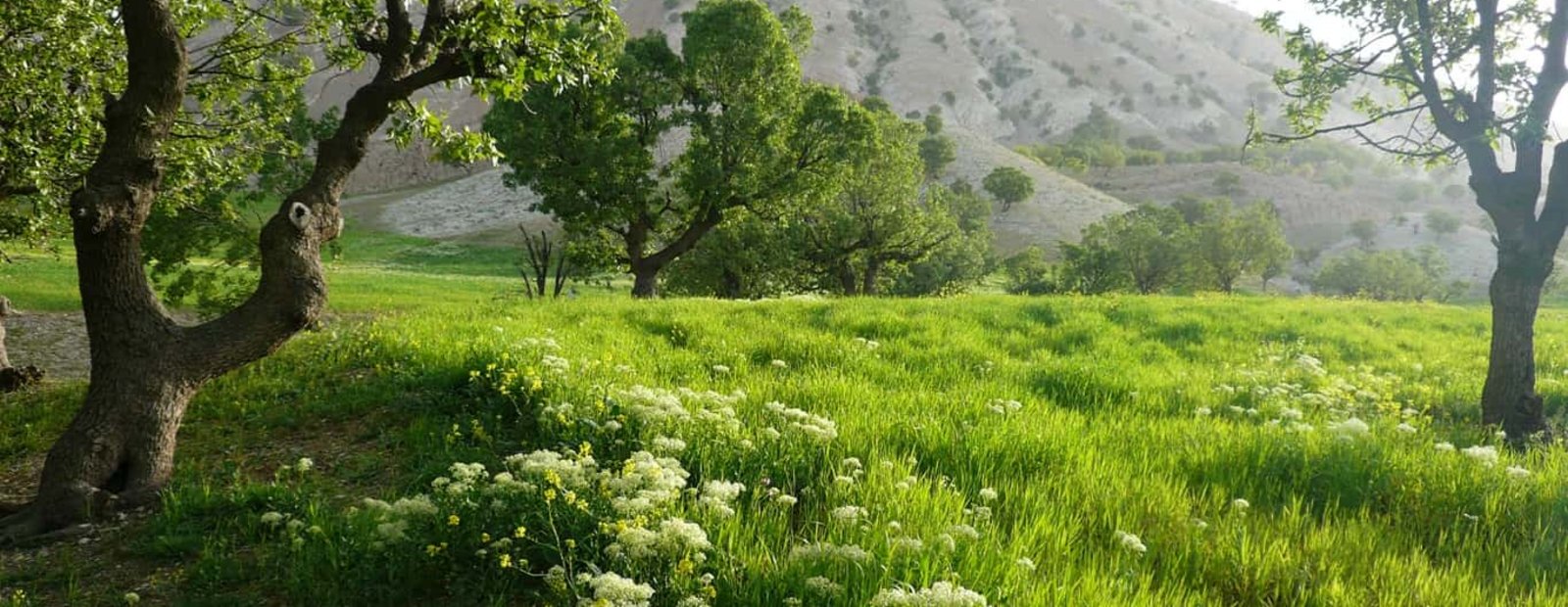 3جاده دسترسی به شهرستان آبدانان در ایام عید نوروز.JPG Awdanan